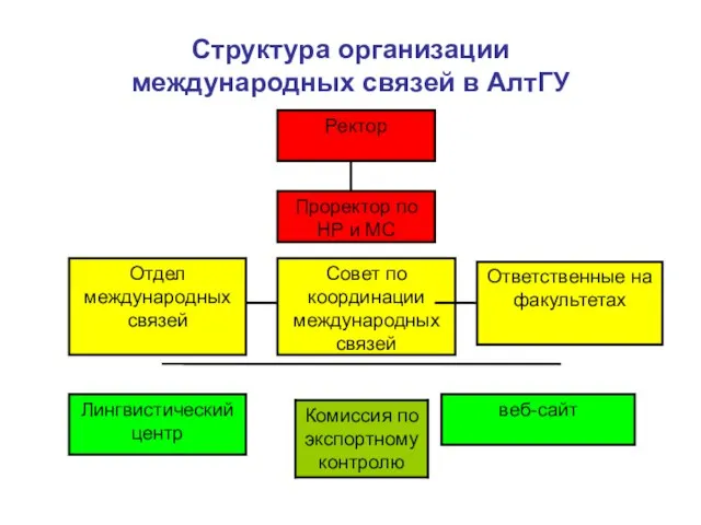 Cтруктура организации международных связей в АлтГУ