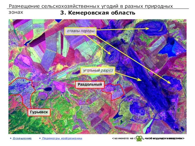 Размещение сельскохозяйственных угодий в разных природных зонах 3. Кемеровская область Оглавление Параметры изображения