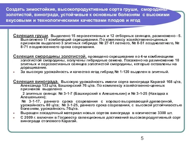 Создать зимостойкие, высокопродуктивные сорта груши, смородины золотистой, винограда, устойчивые к основным болезням