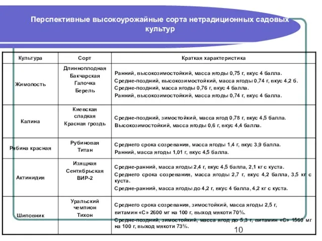 Перспективные высокоурожайные сорта нетрадиционных садовых культур