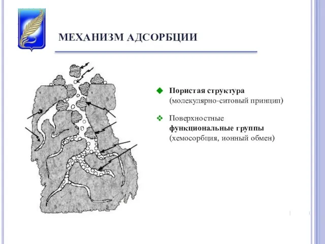 МЕХАНИЗМ АДСОРБЦИИ Пористая структура (молекулярно-ситовый принцип) Поверхностные функциональные группы (хемосорбция, ионный обмен)