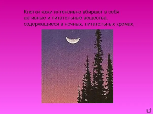 Клетки кожи интенсивно вбирают в себя активные и питательные вещества, содержащиеся в ночных, питательных кремах.