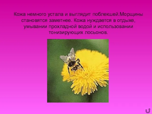 Кожа немного устала и выглядит поблекшей.Морщины становятся заметнее. Кожа нуждается в отдыхе,