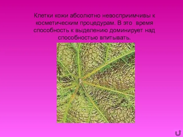 Клетки кожи абсолютно невосприимчивы к косметическим процедурам. В это время способность к