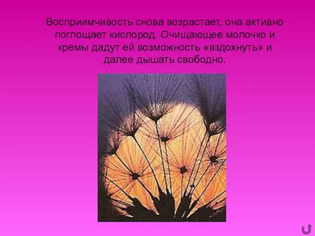 Восприимчивость снова возрастает, она активно поглощает кислород. Очищающее молочко и кремы дадут