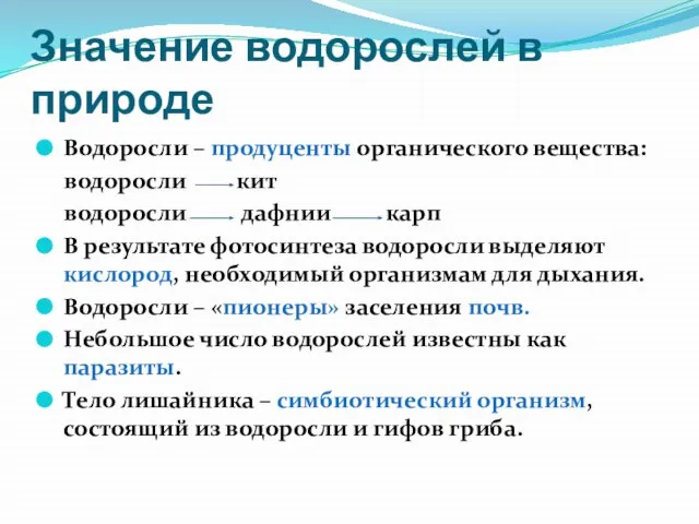 Значение водорослей в природе Водоросли – продуценты органического вещества: водоросли кит водоросли