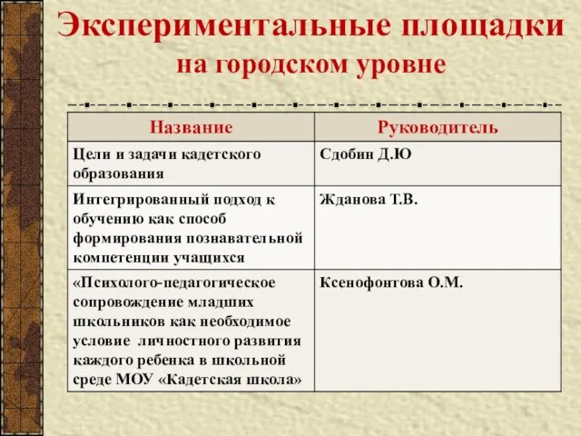 Экспериментальные площадки на городском уровне