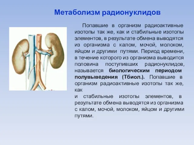 Метаболизм радионуклидов Попавшие в организм радиоактивные изотопы так же, как и стабильные