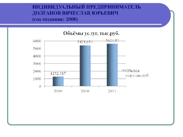 ИНДИВИДУАЛЬНЫЙ ПРЕДПРИНИМАТЕЛЬ ДОЛГАНОВ ВЯЧЕСЛАВ ЮРЬЕВИЧ (год создания: 2008)