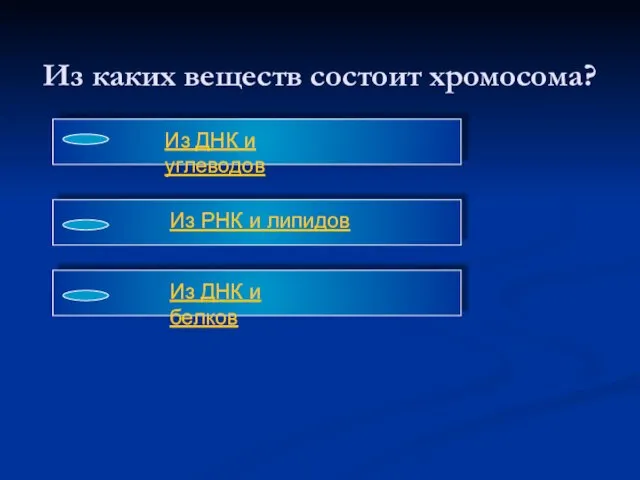 Из каких веществ состоит хромосома?