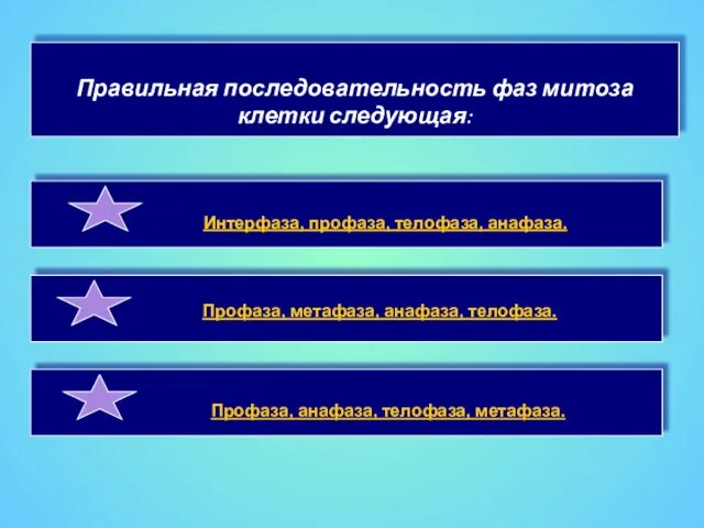 Правильная последовательность фаз митоза клетки следующая: