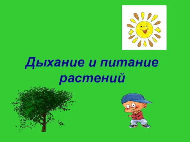 Дыхание и питание растений