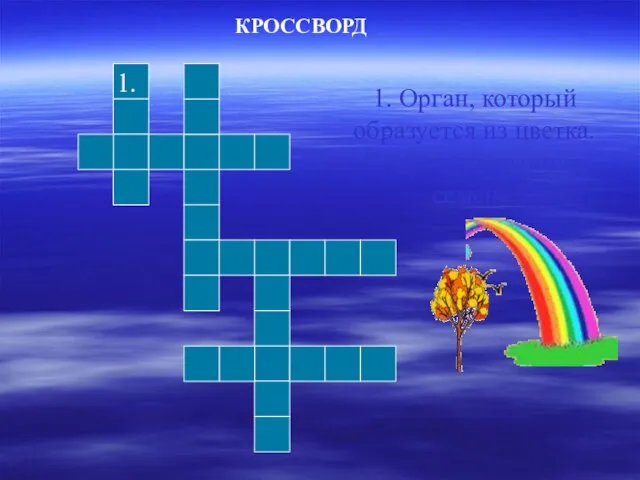 КРОССВОРД 1. Орган, который образуется из цветка. В нем развиваются семена. 1.