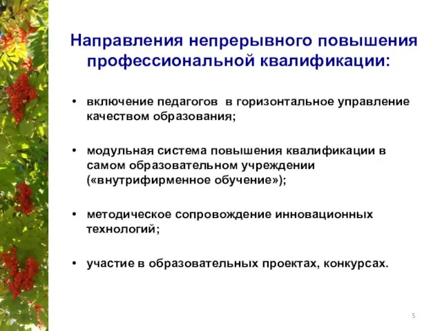 Направления непрерывного повышения профессиональной квалификации: включение педагогов в горизонтальное управление качеством образования;