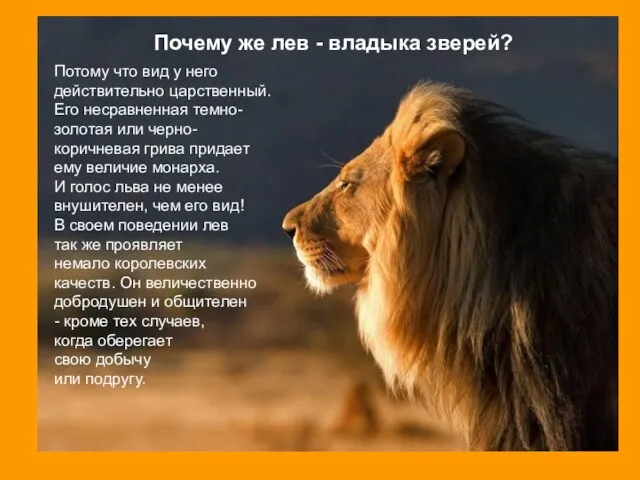 Потому что вид у него действительно царственный. Его несравненная темно- золотая или