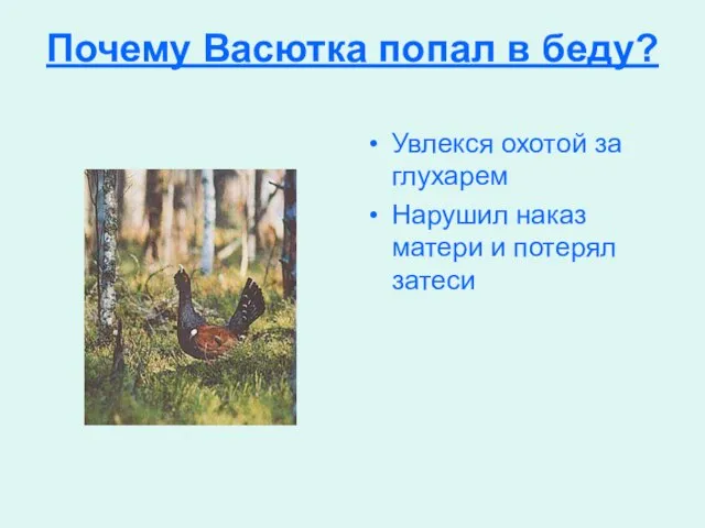 Почему Васютка попал в беду? Увлекся охотой за глухарем Нарушил наказ матери и потерял затеси