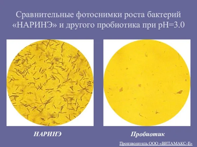 Сравнительные фотоснимки роста бактерий «НАРИНЭ» и другого пробиотика при pH=3.0 Производитель ООО «ВИТАМАКС-Е» НАРИНЭ Пробиотик