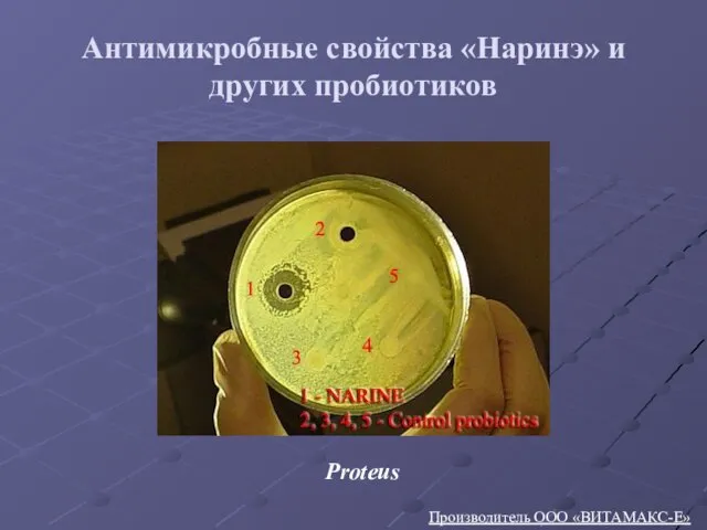 Антимикробные свойства «Наринэ» и других пробиотиков Производитель ООО «ВИТАМАКС-Е» Proteus