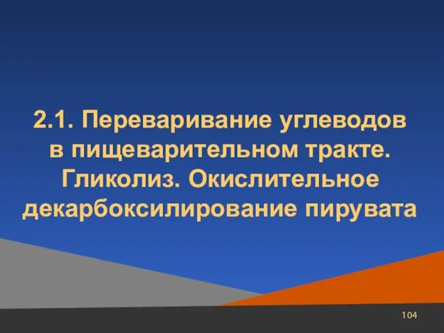 2.1. Переваривание углеводов в пищеварительном тракте. Гликолиз. Окислительное декарбоксилирование пирувата