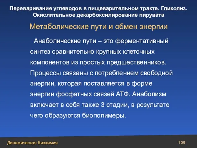 Анаболические пути – это ферментативный синтез сравнительно крупных клеточных компонентов из простых