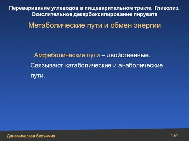 Амфиболические пути – двойственные. Связывают катаболические и анаболические пути. Метаболические пути и обмен энергии