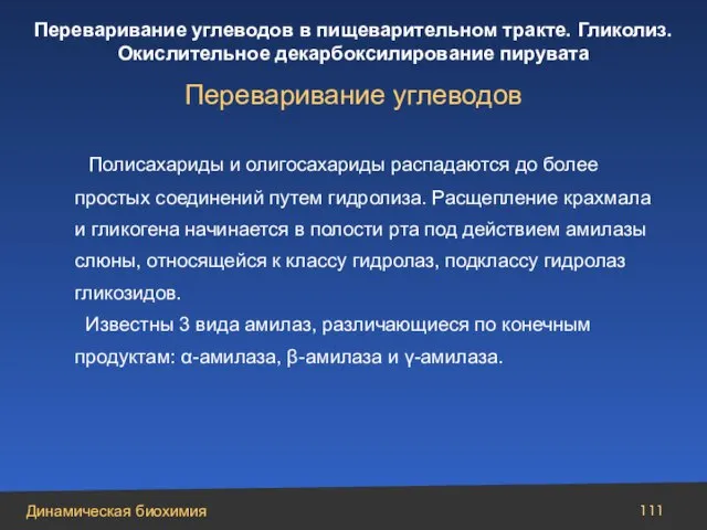 Полисахариды и олигосахариды распадаются до более простых соединений путем гидролиза. Расщепление крахмала