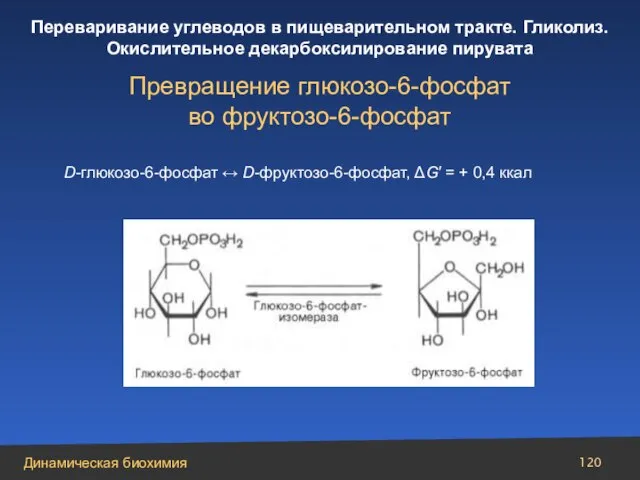 Превращение глюкозо-6-фосфат во фруктозо-6-фосфат D-глюкозо-6-фосфат ↔ D-фруктозо-6-фосфат, ΔG′ = + 0,4 ккал