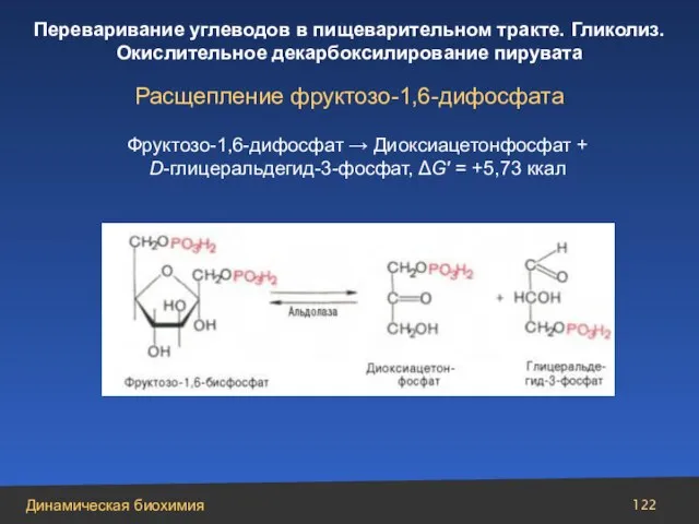 Расщепление фруктозо-1,6-дифосфата Фруктозо-1,6-дифосфат → Диоксиацетонфосфат + D-глицеральдегид-3-фосфат, ΔG′ = +5,73 ккал