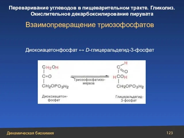 Взаимопревращение триозофосфатов Диоксиацетонфосфат ↔ D-глицеральдегид-3-фосфат