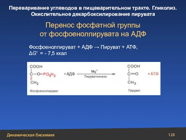 Фосфоенолпируват + АДФ → Пируват + АТФ, ΔG′ = - 7,5 ккал