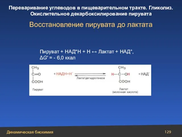 Пируват + НАД*Н + Н ↔ Лактат + НАД+, ΔG′ = -