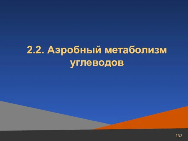 2.2. Аэробный метаболизм углеводов