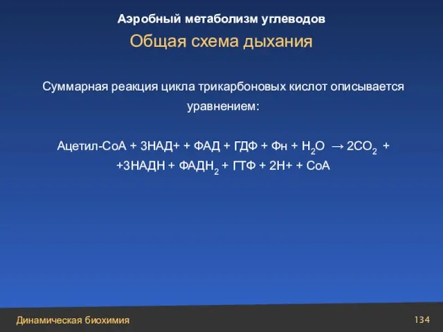 Суммарная реакция цикла трикарбоновых кислот описывается уравнением: Ацетил-СоА + 3НАД+ + ФАД