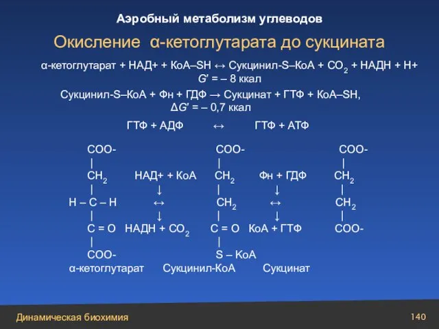 α-кетоглутарат + НАД+ + КоА–SH ↔ Cукцинил-S–КоА + СО2 + НАДН +