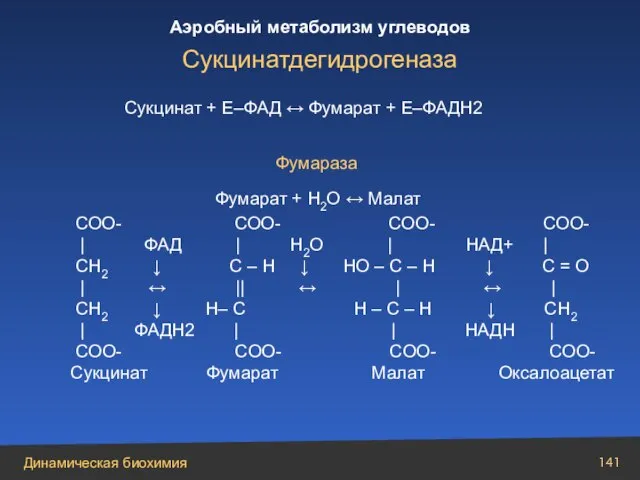 Сукцинат + Е–ФАД ↔ Фумарат + Е–ФАДН2 Фумараза Фумарат + Н2О ↔