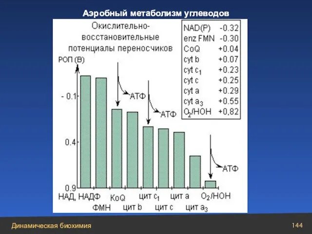 РИСУНОК Аэробный метаболизм углеводов