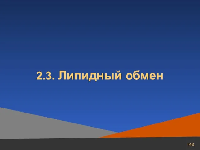 2.3. Липидный обмен