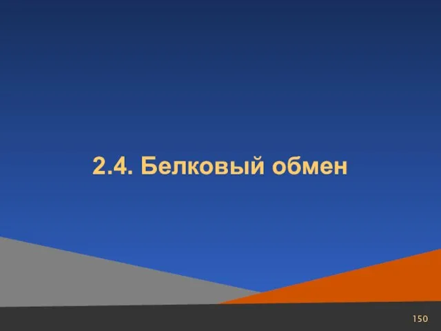 2.4. Белковый обмен