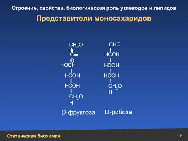 Представители моносахаридов НСОН НСОН НСОН НСОН НСОН НОСН С О СН2ОН СН2ОН