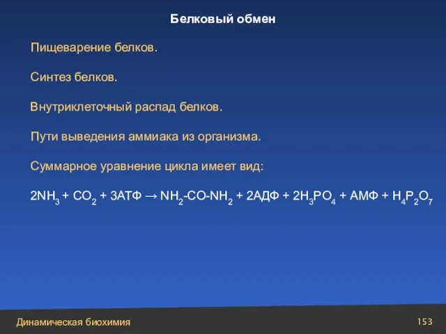 Пищеварение белков. Синтез белков. Внутриклеточный распад белков. Пути выведения аммиака из организма.