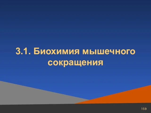 3.1. Биохимия мышечного сокращения