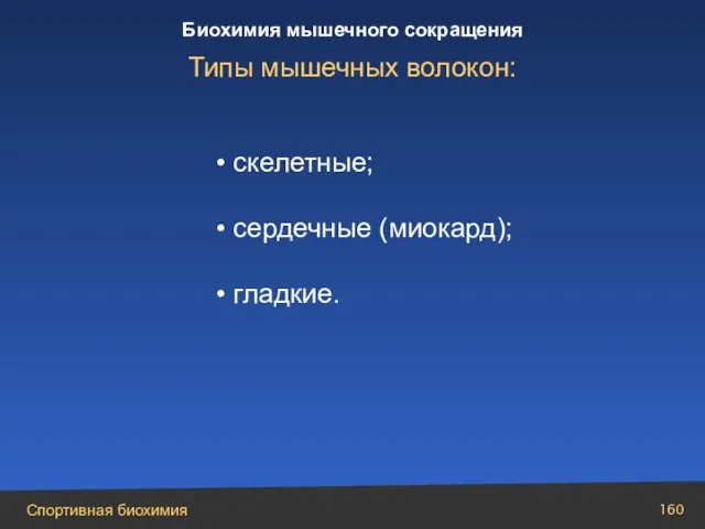 Типы мышечных волокон: скелетные; сердечные (миокард); гладкие.