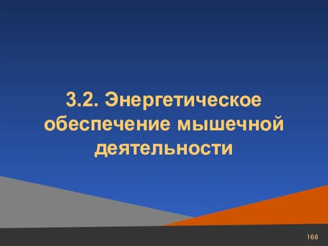 3.2. Энергетическое обеспечение мышечной деятельности