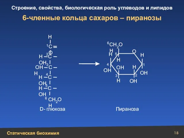 6-членные кольца сахаров – пиранозы Н С ОН ОН С Н Н