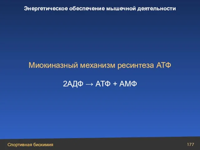 Миокиназный механизм ресинтеза АТФ 2AДФ → АТФ + АМФ