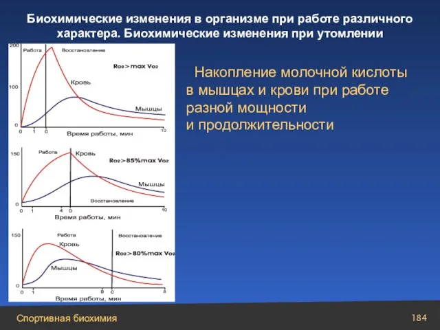 Накопление молочной кислоты в мышцах и крови при работе разной мощности и продолжительности