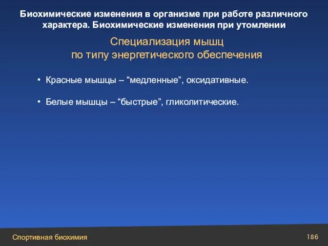 Специализация мышц по типу энергетического обеспечения Красные мышцы – “медленные”, оксидативные. Белые мышцы – “быстрые”, гликолитические.