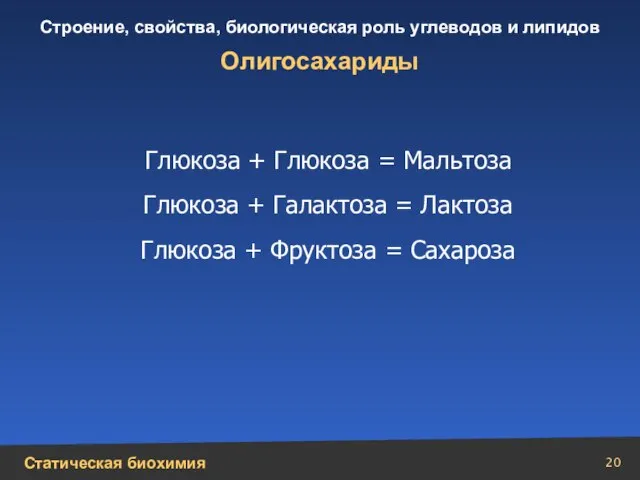 Олигосахариды Глюкоза + Глюкоза = Мальтоза Глюкоза + Галактоза = Лактоза Глюкоза + Фруктоза = Сахароза