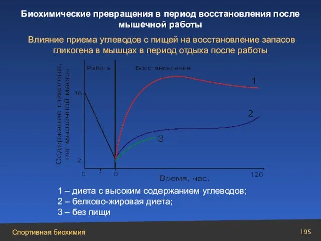 1 – диета с высоким содержанием углеводов; 2 – белково-жировая диета; 3