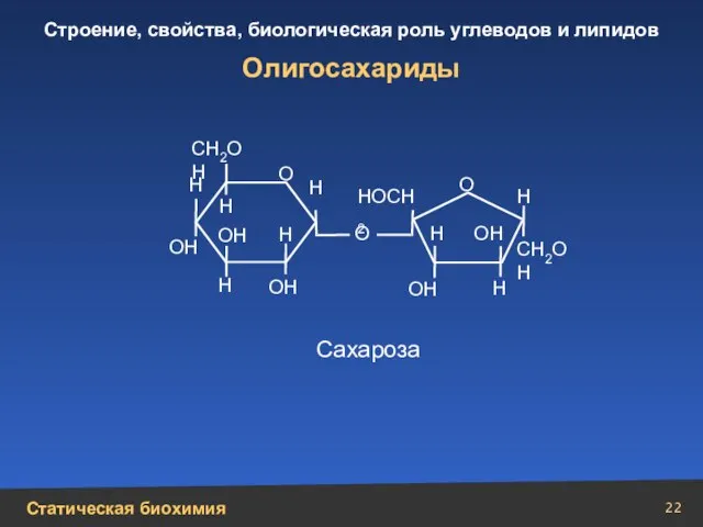 Олигосахариды СН2ОН СН2ОН НОСН2 Н Н Н Н Н Н Н О